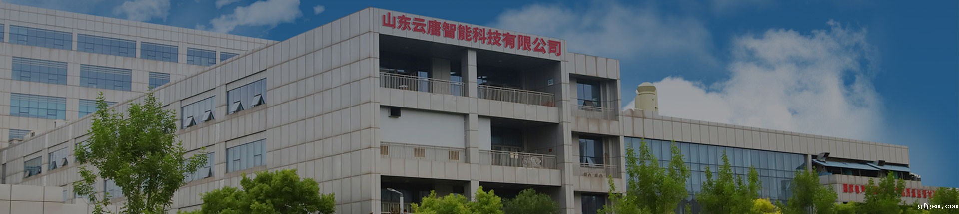 星空平台下载链接