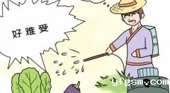 农残检测仪！食品安全检测中不可少的一环